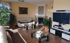 Synergy House